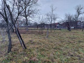 immobilienmakler rumaenien bauernhof grundstueck westkarpaten siebenbuergen apuseni gebirge 646